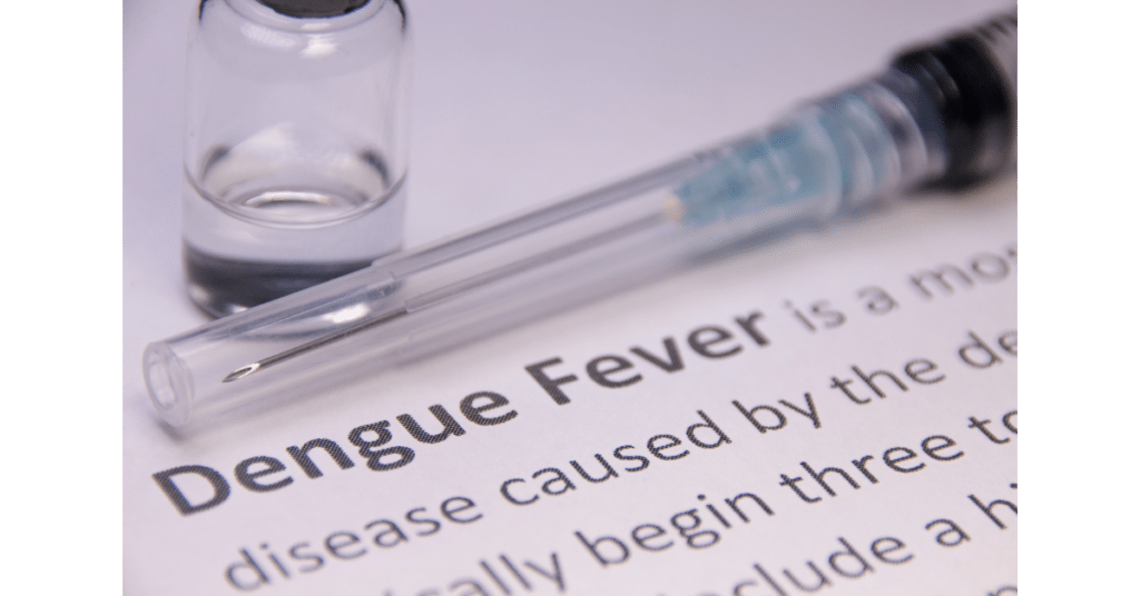 dengue fever paragraph