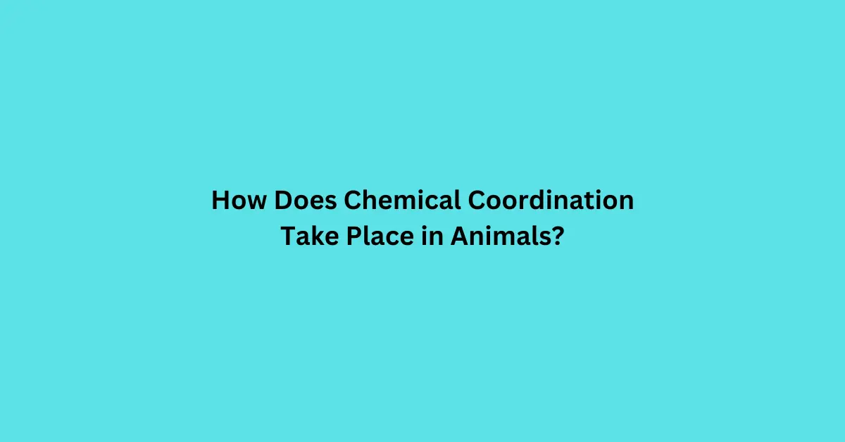 How Does Chemical Coordination Take Place in Animals?