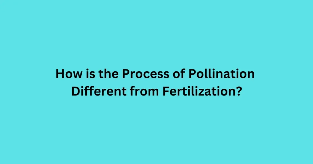 How is the Process of Pollination Different from Fertilization?