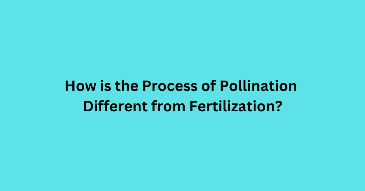 How is the Process of Pollination Different from Fertilization?