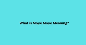 What is Moye Moye Meaning?