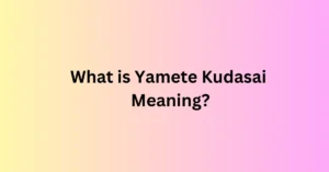 What is Yamete Kudasai Meaning?