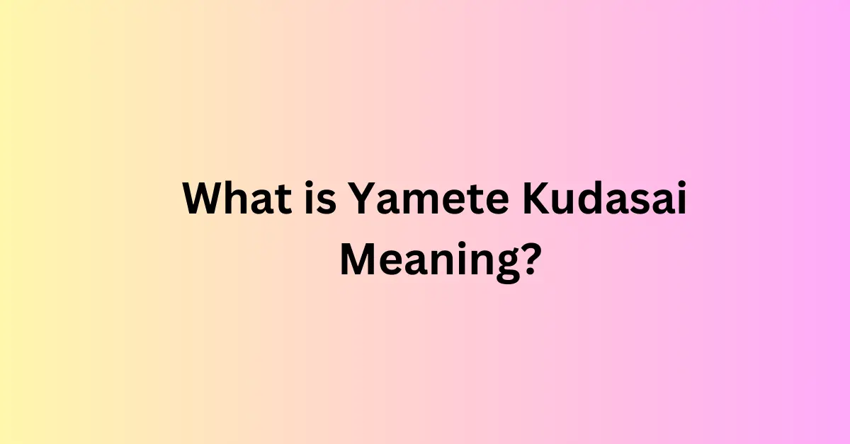 What is Yamete Kudasai Meaning?