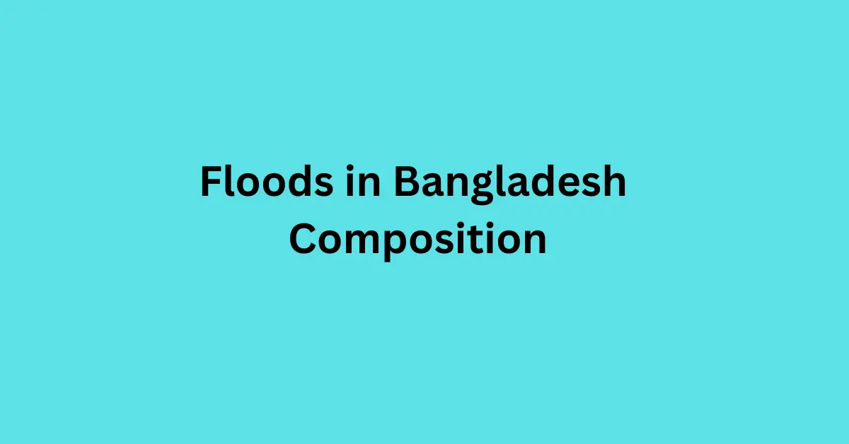 Floods in Bangladesh Composition