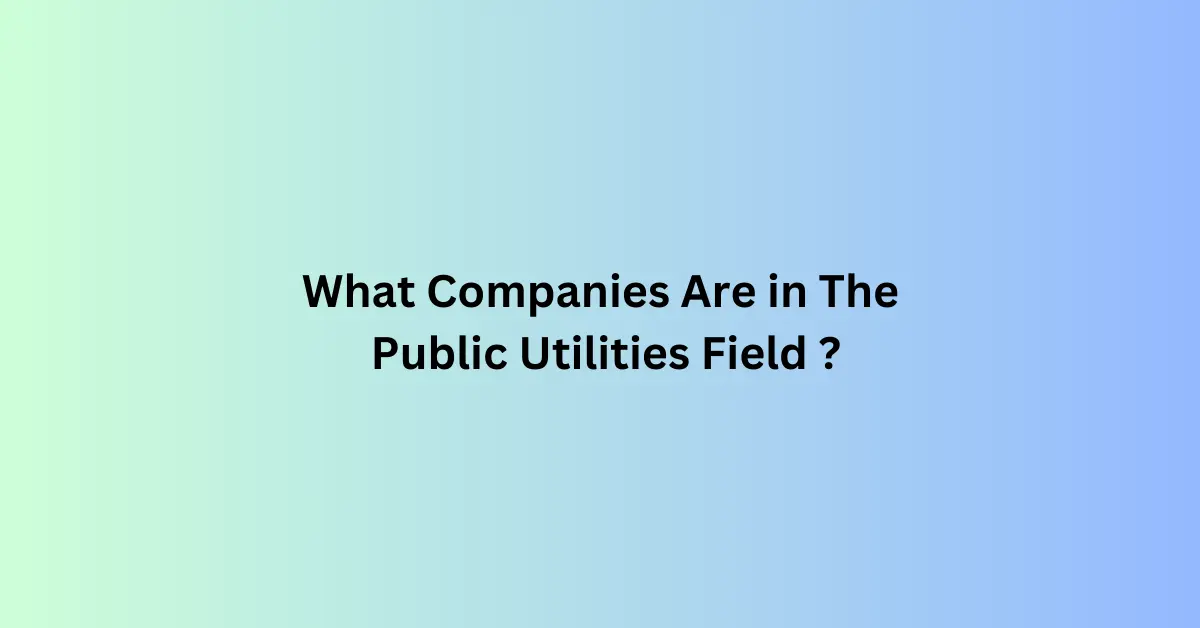 What Companies Are in The Public Utilities Field?